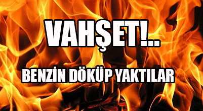 Vahşet: Benzip döküp yaktılar!