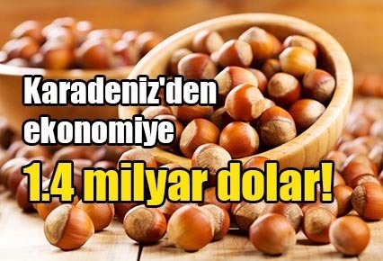 Karadeniz’den ekonomiye 1.4 milyar dolar!