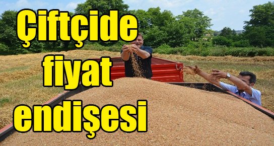 Çiftçide fiyat endişesi