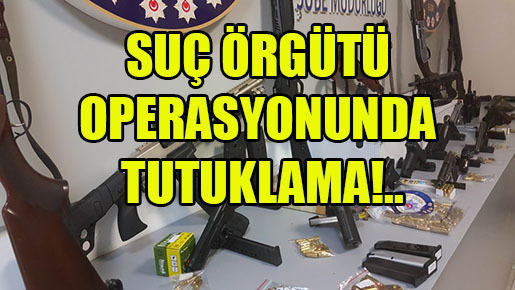 Suç örgütü operasyonunda tutuklama
