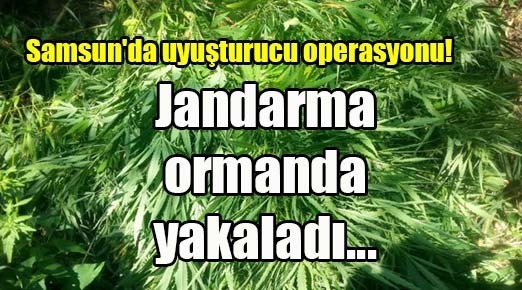 Samsun’da uyuşturucu operasyonu!