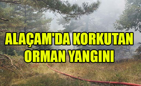 ALAÇAM’DA KORKUTAN ORMAN YANGINI
