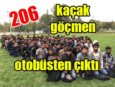 Otobüsten 206 kaçak göçmen çıktı