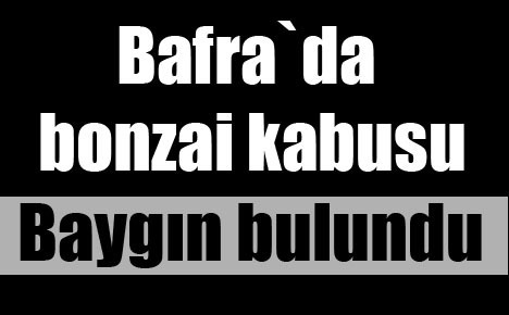 Bafra`da bonzai kabusu