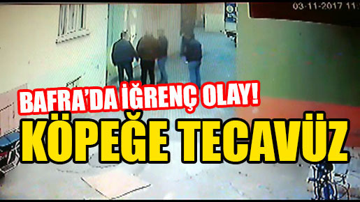 Bafra’da köpeğe tecavüz!