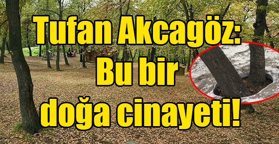 Tufan Akcagöz: Bu bir doğa cinayeti!