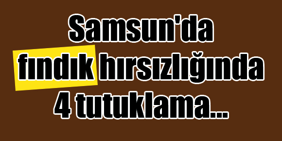 Samsun’da fındık hırsızlığında 4 tutuklama…