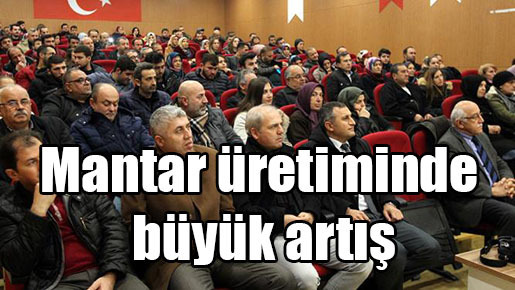 Mantar üretiminde büyük artış