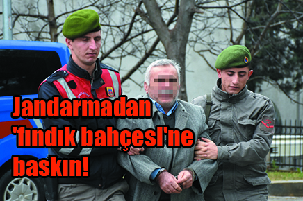 Jandarmadan ‘fındık bahçesi’ne baskın!