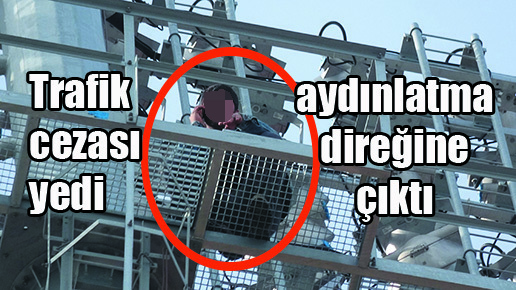 Trafik cezası yedi, aydınlatma direğine çıktı