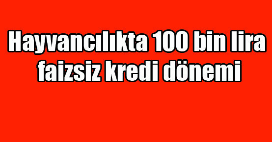 Hayvancılıkta 100 bin lira faizsiz kredi dönemi