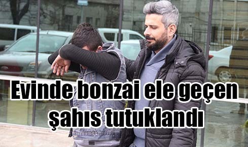 Evinde bonzai ele geçen şahıs tutuklandı