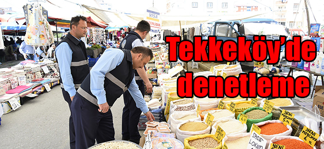 Tekkeköy’de denetleme
