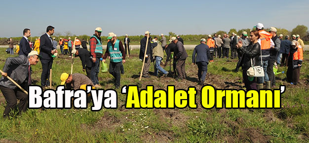 Bafra Adliyesinden ‘Adalet Ormanı’