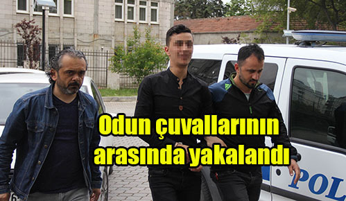 Odun çuvallarının arasında yakalandı
