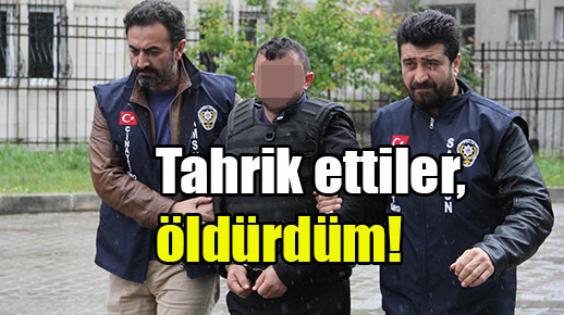 Tahrik ettiler, öldürdüm!