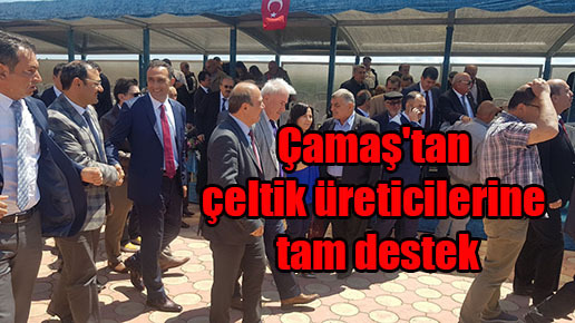 Çamaş’tan çeltik üreticilerine tam destek
