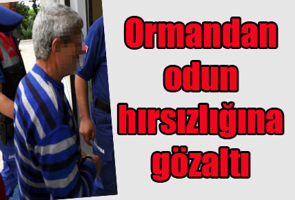 Ormandan odun hırsızlığına gözaltı