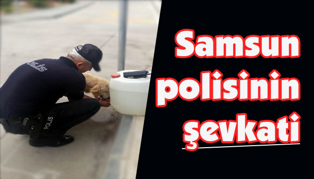 Samsun polisinin şevkati