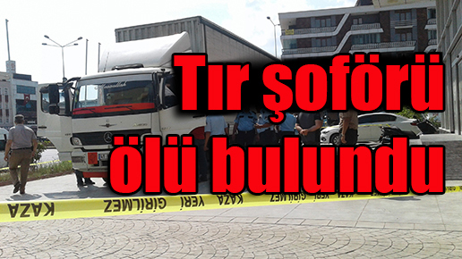 Tır şoförü ölü bulundu