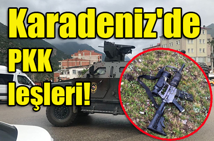Yeni pkk leşleri 2016
