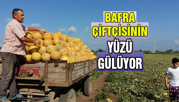 Bafra Çiftçisinin Yüzü Gülüyor