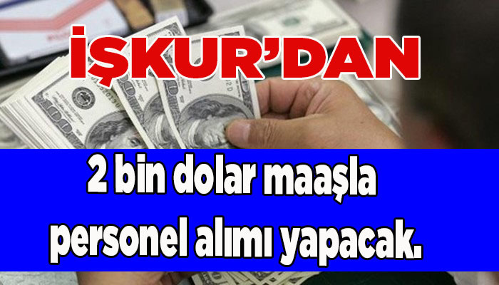 2 bin dolar maaşla personel alımı