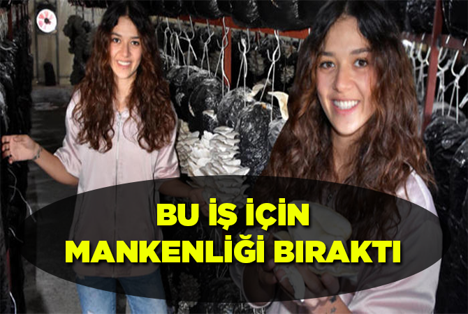 Spot ışıklarının altından seraya