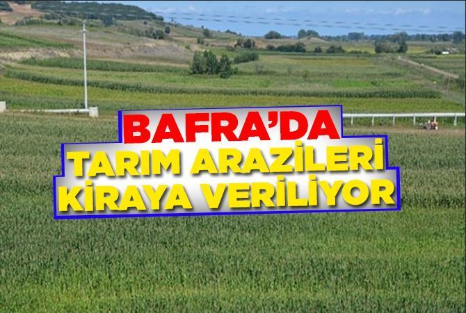 Bafra Milli Emlak Arazileri Kiraya Veriyor