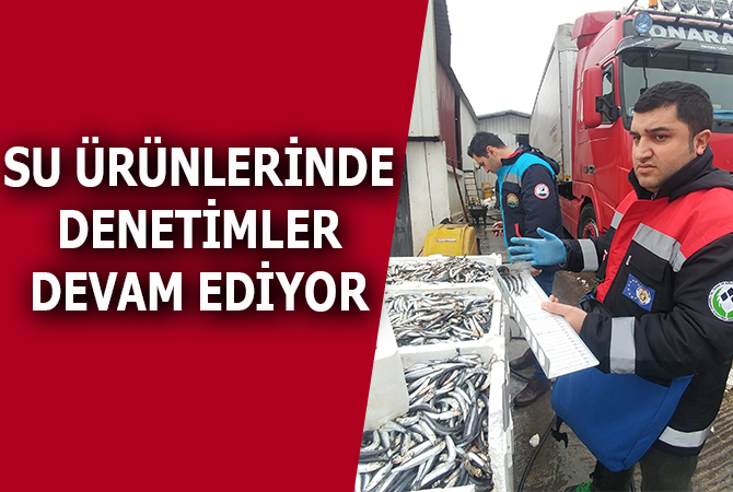 Su ürünlerinde denetimler sürüyor