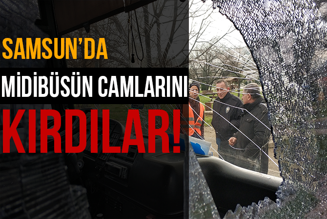 Park halindeki midibüsün 8 camını kırdılar