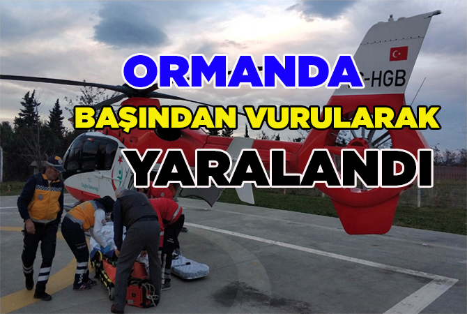Ormanda mantar toplarken vuruldu
