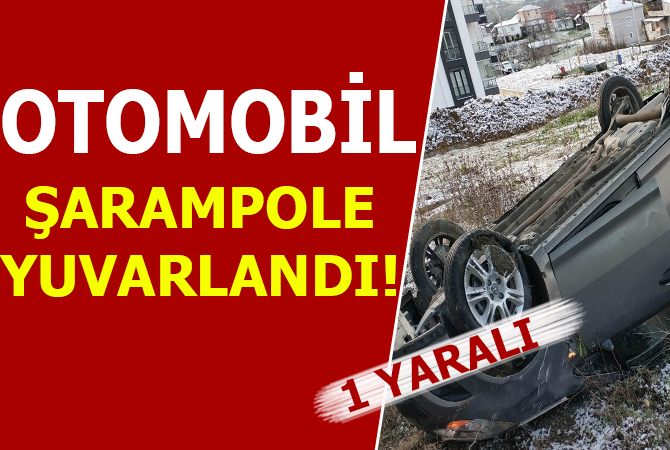 BUZ TUTAN YOL KAZAYA NEDEN OLDU