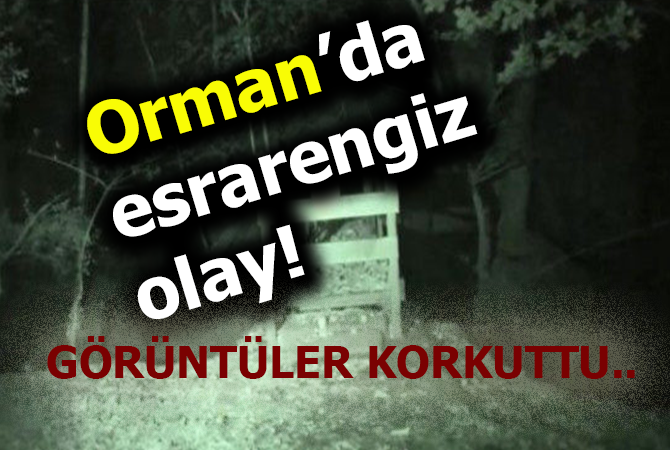 ORMANDA ESRARENGİZ OLAY! GÖRÜNTÜLER KORKUTTU..