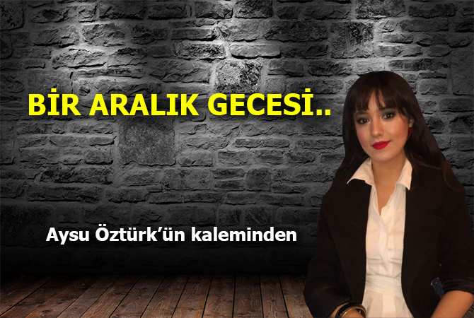 BİR ARALIK GECESİ..
