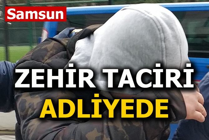 Satışa hazır bonzai ile yakalanan zanlı adliyede