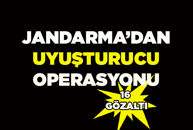 Jandarmadan uyuşturucu operasyonu