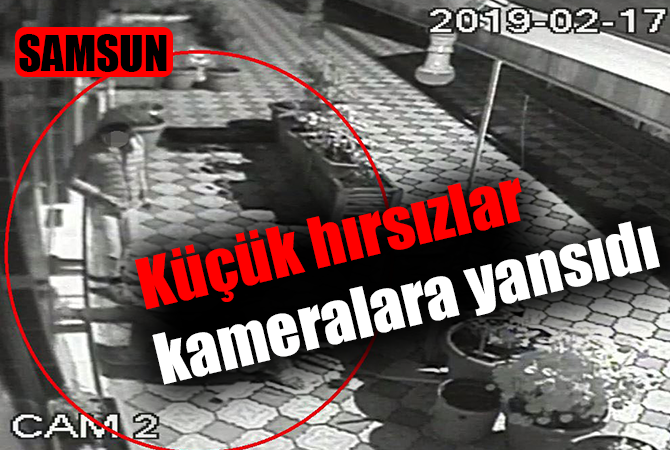 Küçük hırsızlar kameralara yansıdı