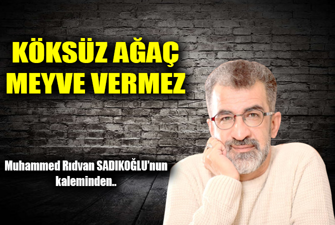 KÖKSÜZ AĞAÇ MEYVE VERMEZ