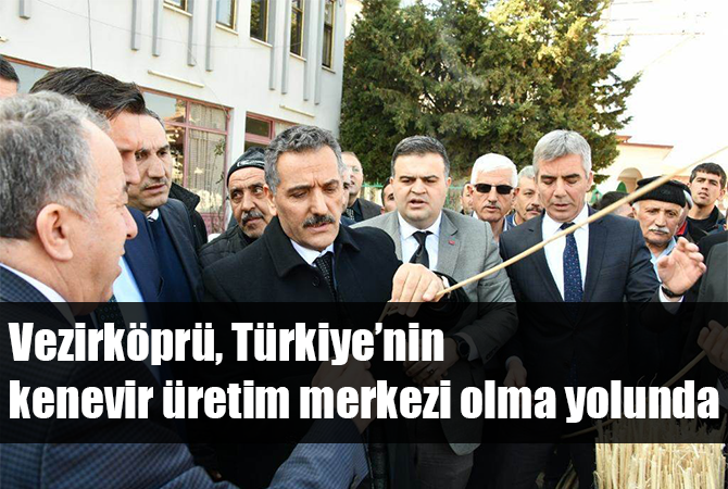 Vezirköprü, Türkiye’nin kenevir üretim merkezi olma yolunda