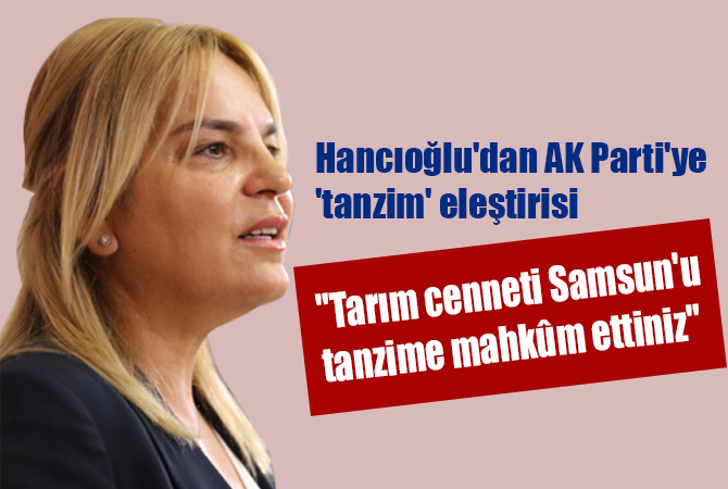 Hancıoğlu’ndan AK Parti’ye ‘tanzim’ eleştirisi