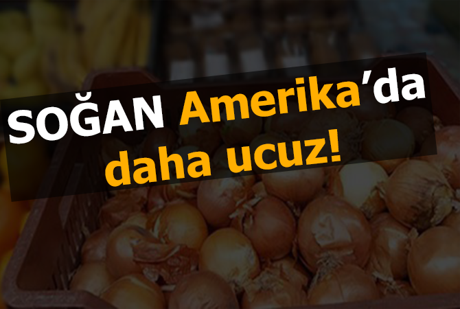 Soğan Amerika’da daha ucuz