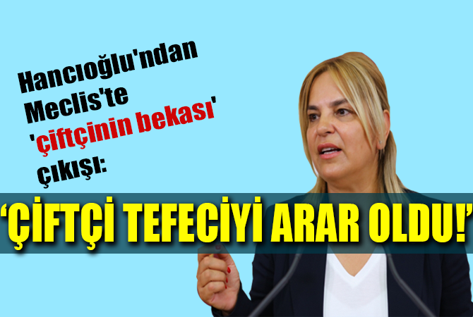 Hancıoğlu’ndan Meclis’te ‘çiftçinin bekası’ çıkışı: