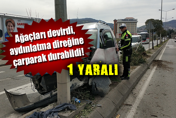 Ağaçları devirdi, aydınlatma direğine çarparak durabildi: 1 yaralı