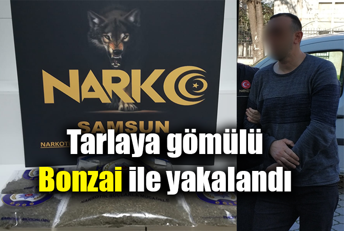 Tarlada gömülü 1 kilo 841 gram bonzaiyle yakalandı
