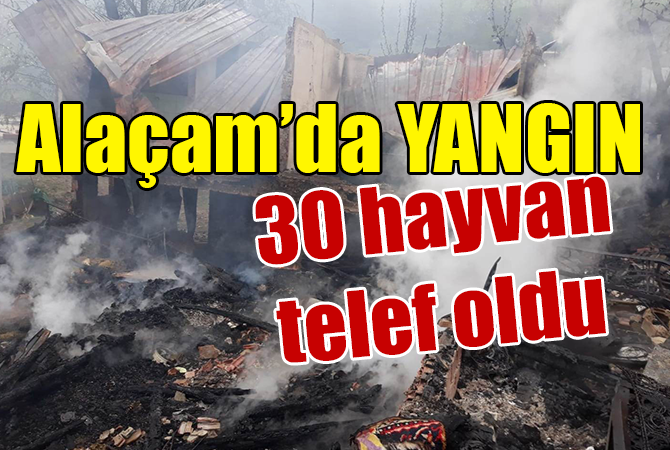 Alaçam’da yangında 30 hayvan telef oldu