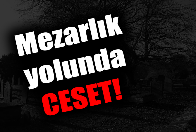 Tabancayla vurulmuş olarak ölü bulundu