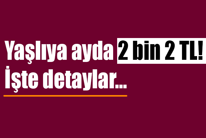Yaşlıya ayda 2 bin 2 TL! İşte detaylar…