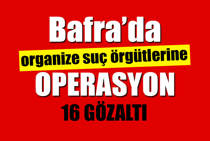 Samsun merkezli suç örgütüne operasyon: 16 gözaltı