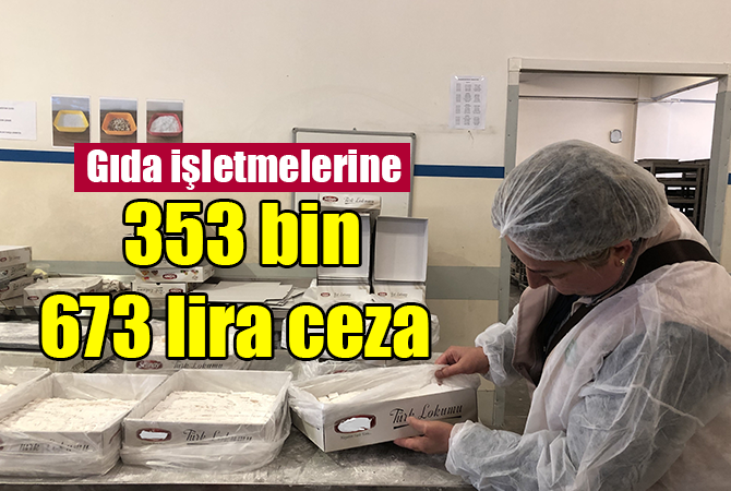 Gıda işletmelerine 353 bin 673 lira ceza